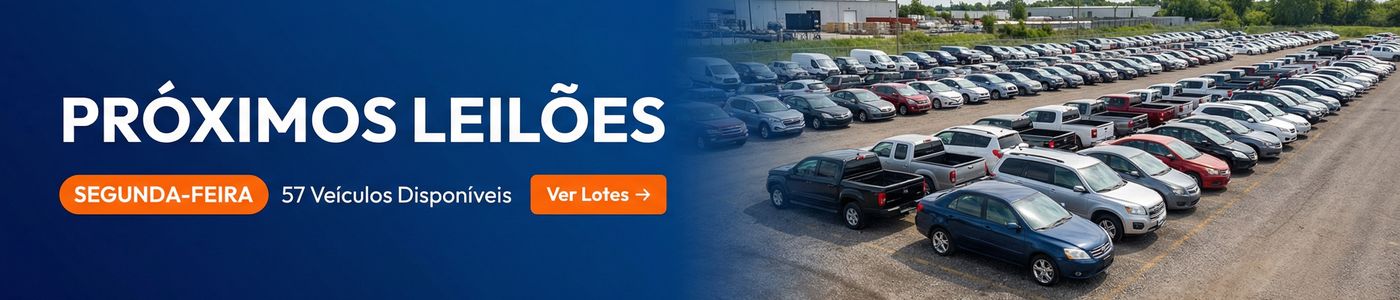 Próximos Leilões